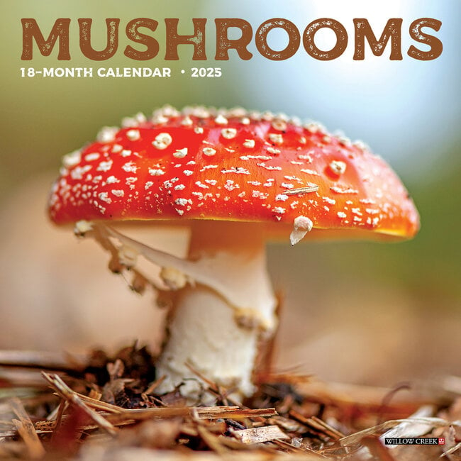 Mushrooms Calendar 2025 Mini