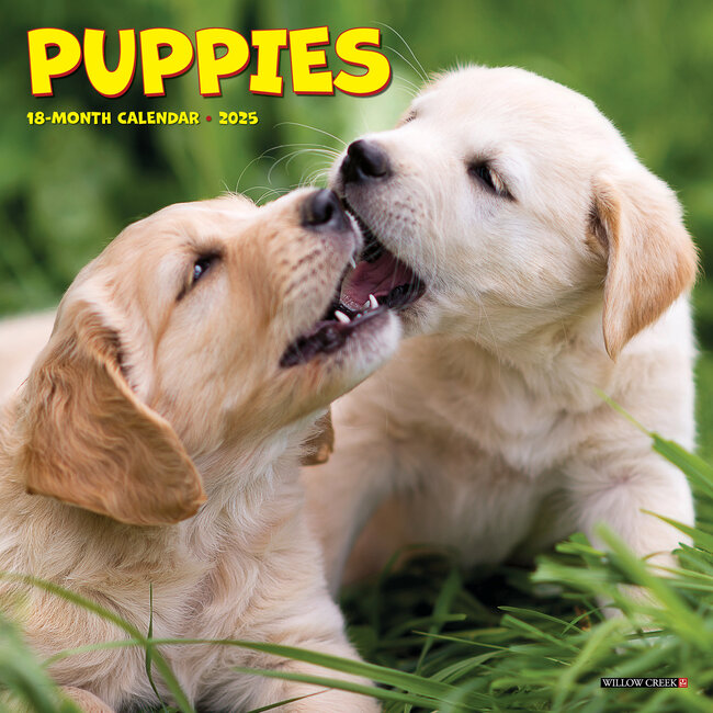 Puppies Calendar 2025 Mini