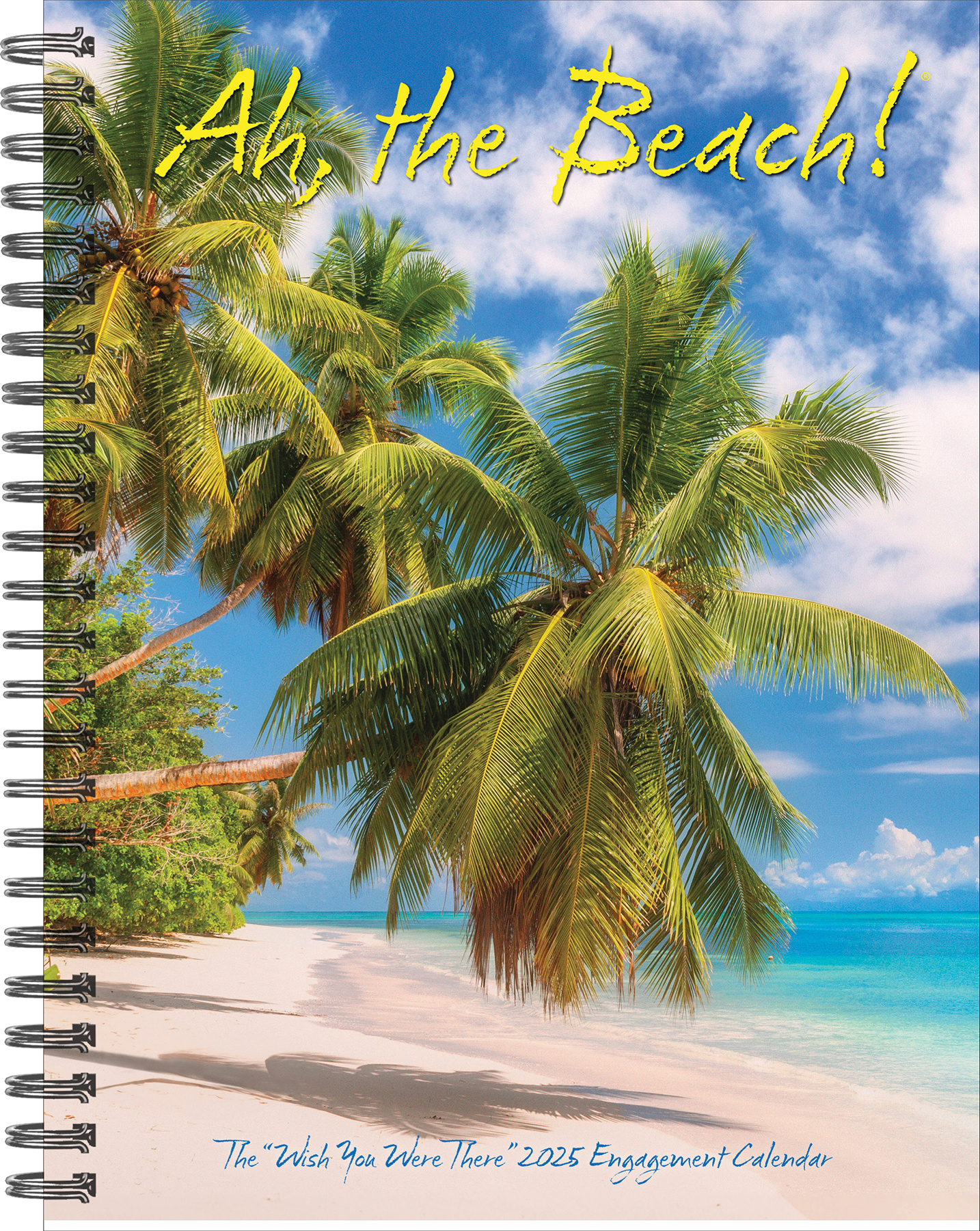 Ah, The Beach! Agenda 2025 Kopen? Bestel eenvoudig en snel Online