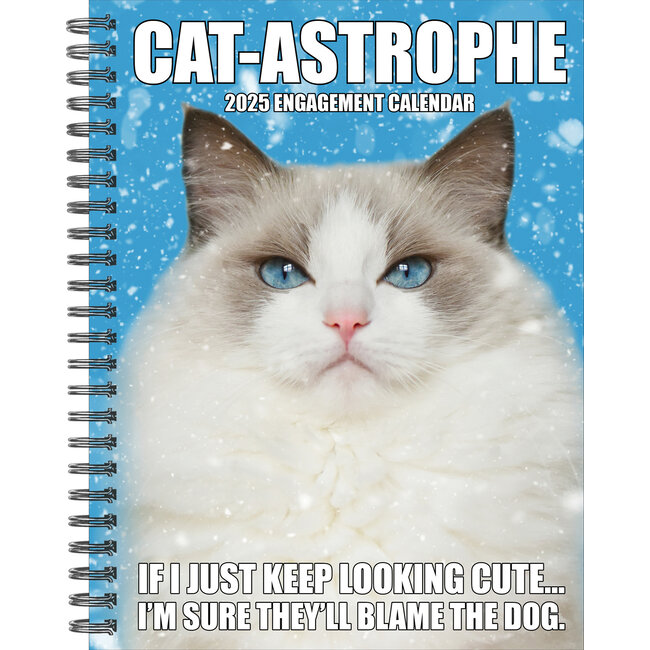 Agenda Cat-Astrophe 2025