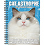 Agenda 2025 de Cat-Astrophe