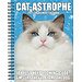 Willow Creek Agenda Cat-Astrophe 2025