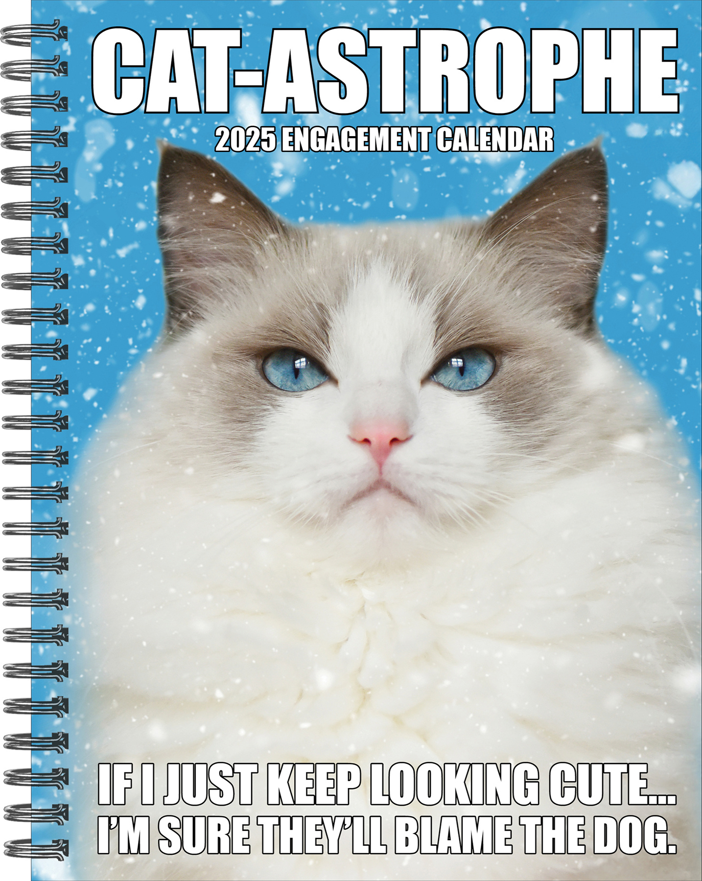 Cat-Astrophe Agenda 2025