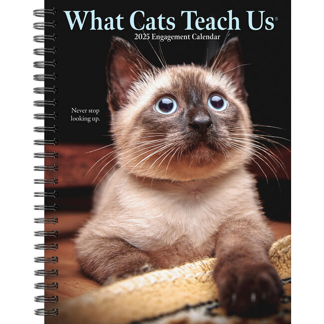 Ce que les chats nous apprennent Agenda 2025