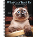 Willow Creek What Cats Teach Us Agenda 2025