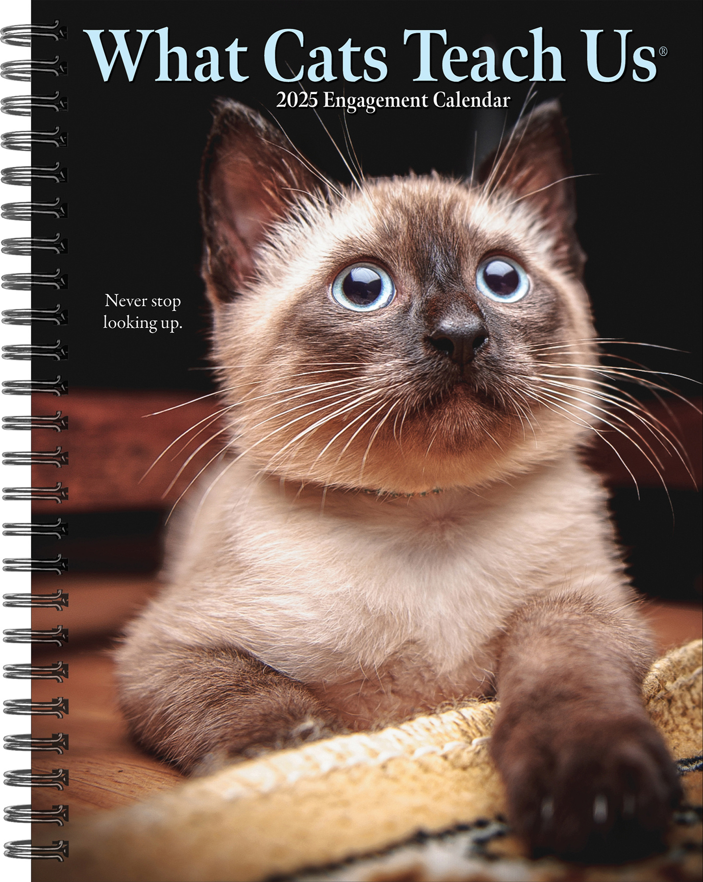 What Cats Teach Us Agenda 2025