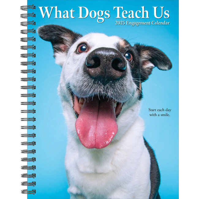 Lo que los perros nos enseñan Agenda 2025