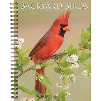 Willow Creek Agenda 2025 pour les oiseaux de jardin