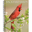 Willow Creek Agenda 2025 pour les oiseaux de jardin