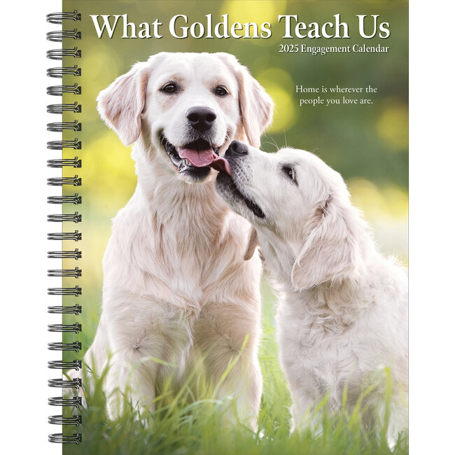 What Goldens Teach Us Agenda 2025 Kopen? Bestel eenvoudig Online