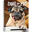 Willow Creek Doug el Pug Agenda 2025