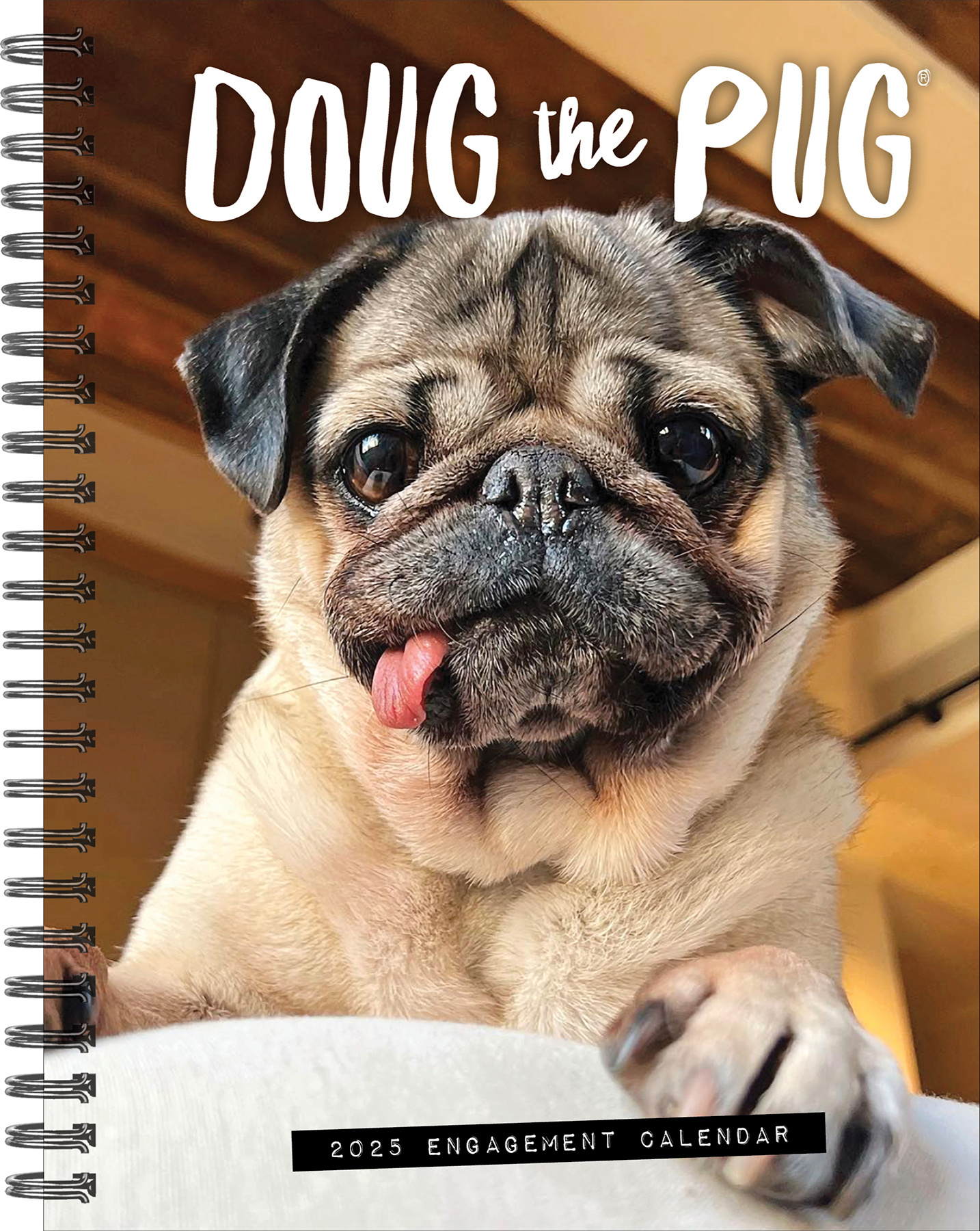 Doug the Pug Agenda 2025