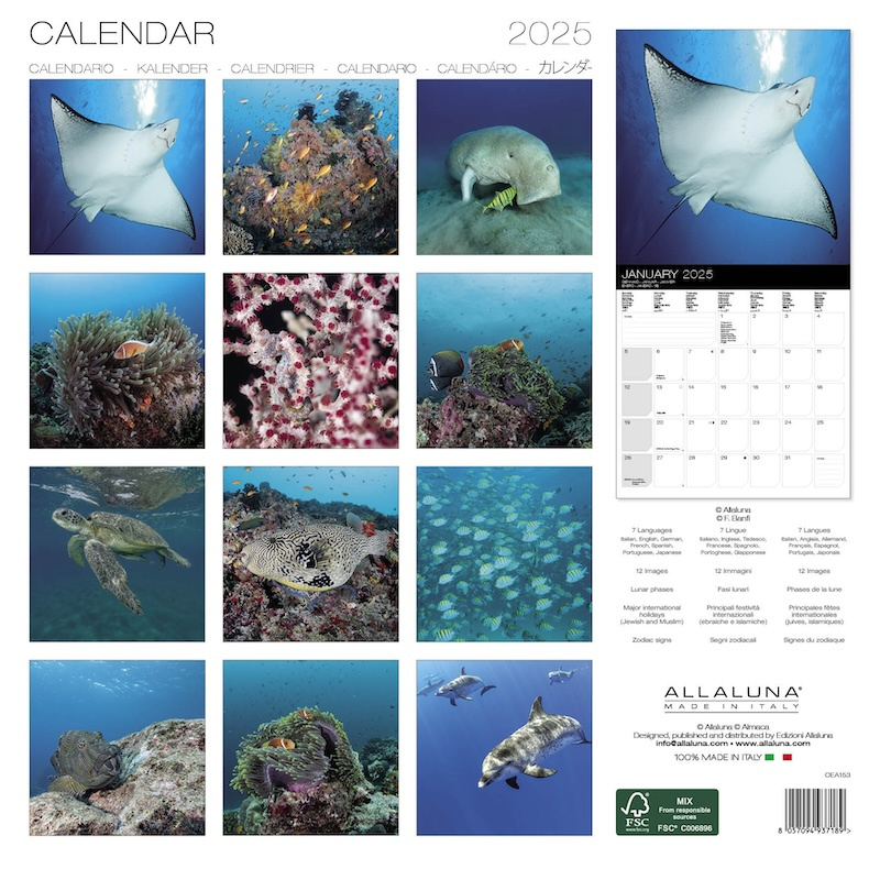 Acheter Calendrier Monde sousmarin 2025 ? Commandez en ligne