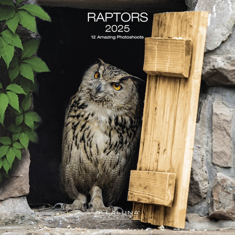 Birds Of Prey Calendar 2025 Carlen Mollie