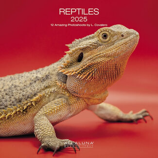 Allaluna Calendrier des reptiles 2025