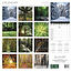 Magic Trees Kalender 2025