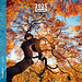 Aquarupella Arbres - Trees Calendar 2025