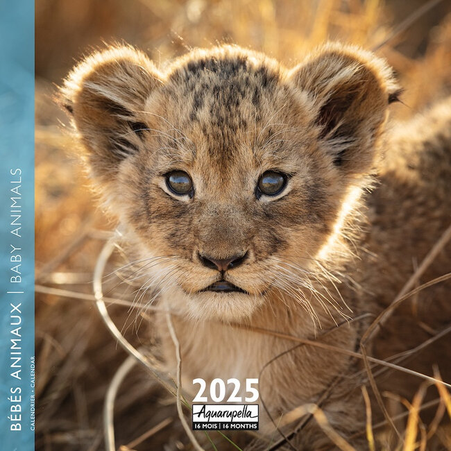 Aquarupella Baby-Tiere Kalender 2025