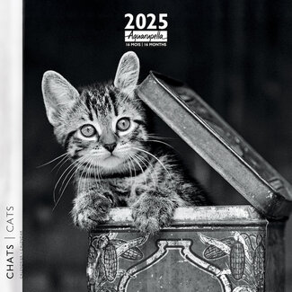 Aquarupella Black and White Katten Kalender 2025