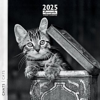Aquarupella Calendario dei gatti bianchi e neri 2025