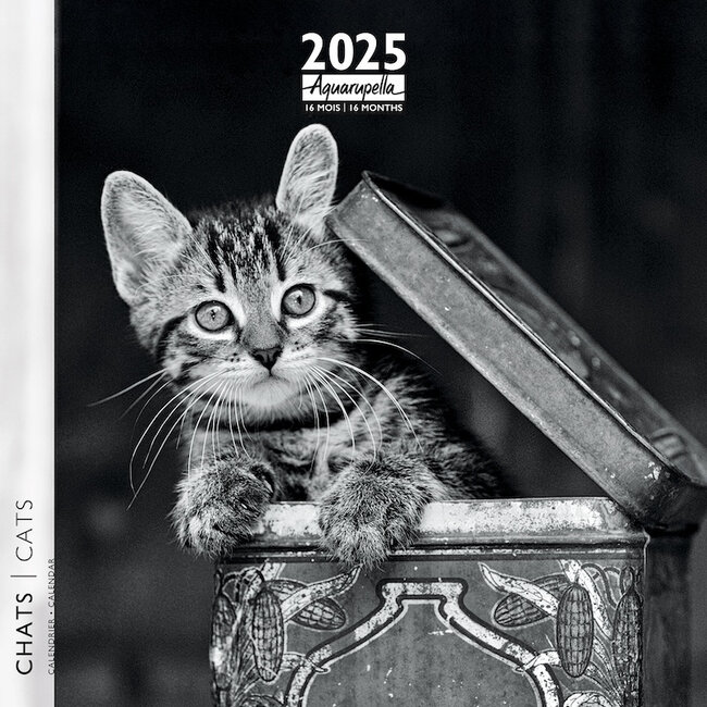 Aquarupella Gatos blancos y negros Calendario 2025
