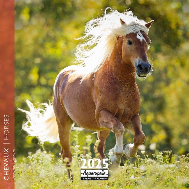 Aquarupella Horses Calendar 2025