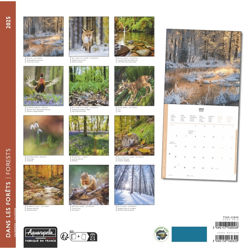 Buying Forests Calendar 2025 simply order online Kalenderwinkel.nl