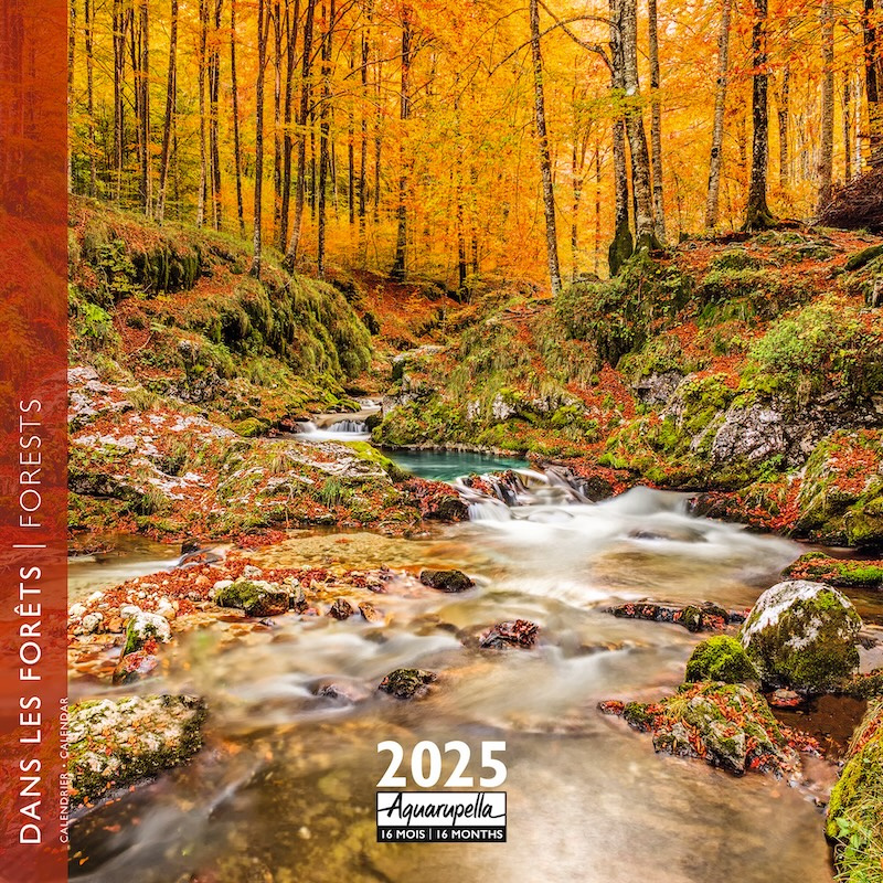 Buying Forests Calendar 2025 simply order online Kalenderwinkel.nl