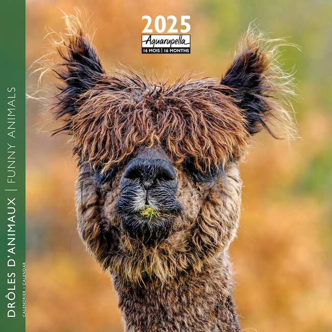 Aquarupella Funny Animals Calendar 2025
