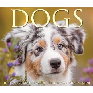 Willow Creek Hunde-Abreißkalender 2025 Boxed