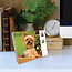 Calendario Yorkshire Terrier a strappo 2025 in scatola