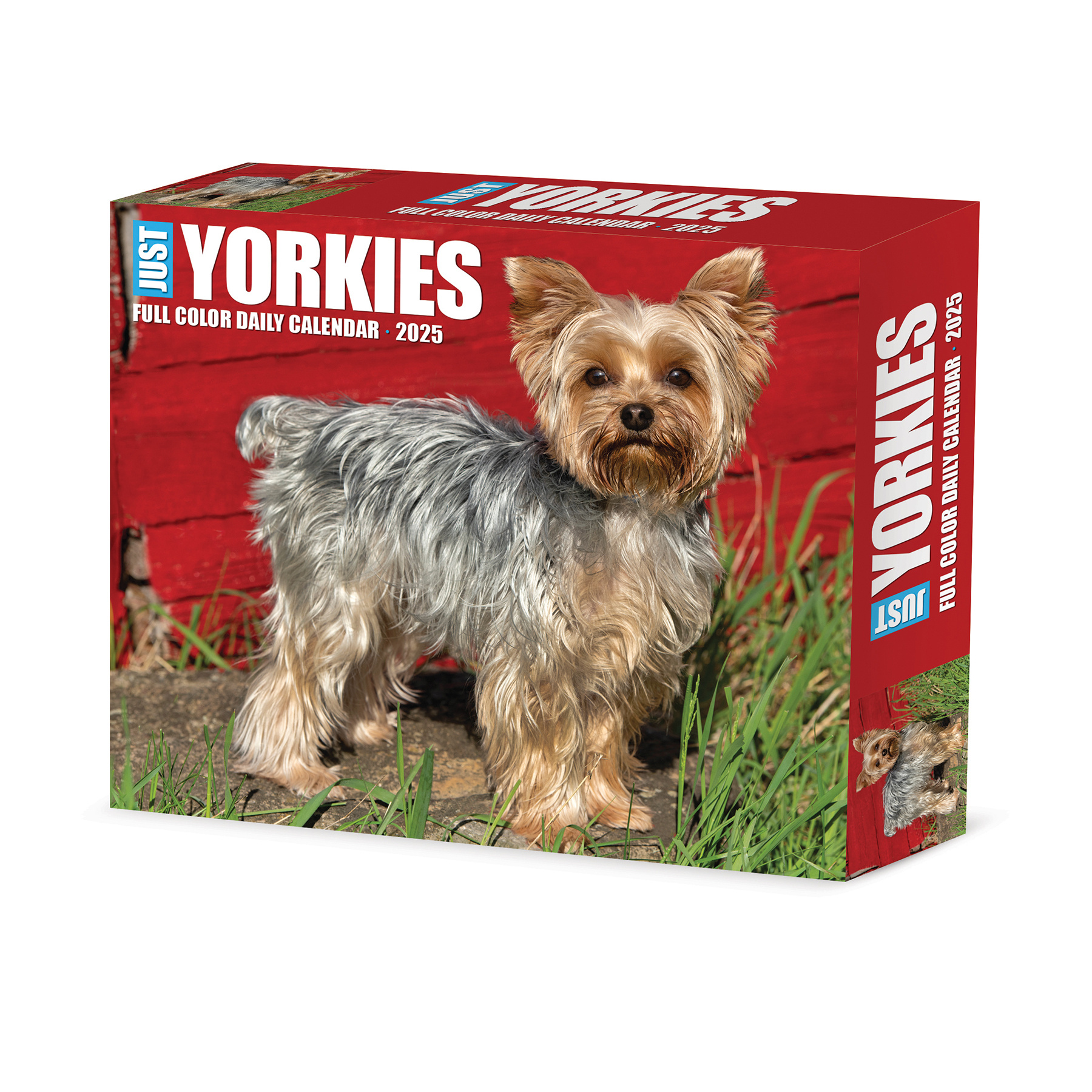 Buy Yorkshire Terrier Calendar 2025 Boxed Order online easily Yorkshire Terrier Calendar 2025
