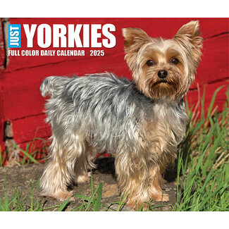 Willow Creek Yorkshire Terrier tear-off calendar 2025 Boxed