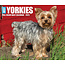 Calendario Yorkshire Terrier a strappo 2025 in scatola