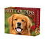 Golden Retriever Scheurkalender 2025 Boxed