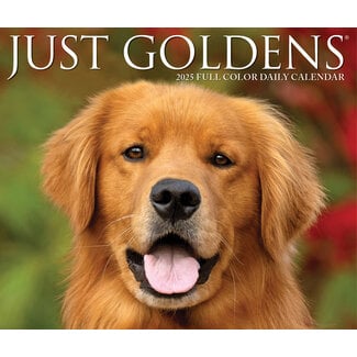 Willow Creek Golden Retriever tear-off calendar 2025 Boxed