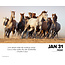 What Horses Teach Us tear-off calendar 2025 Boxed