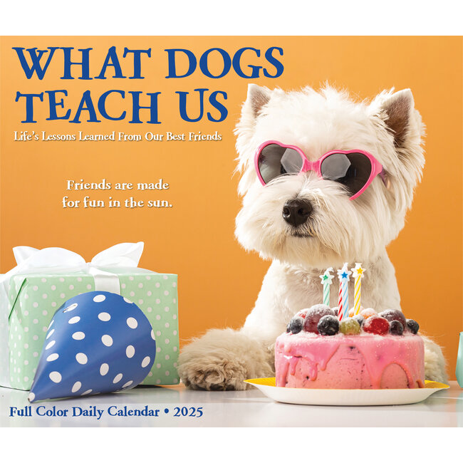 What Dogs Teach Us Block Calendar 2025 Boxed