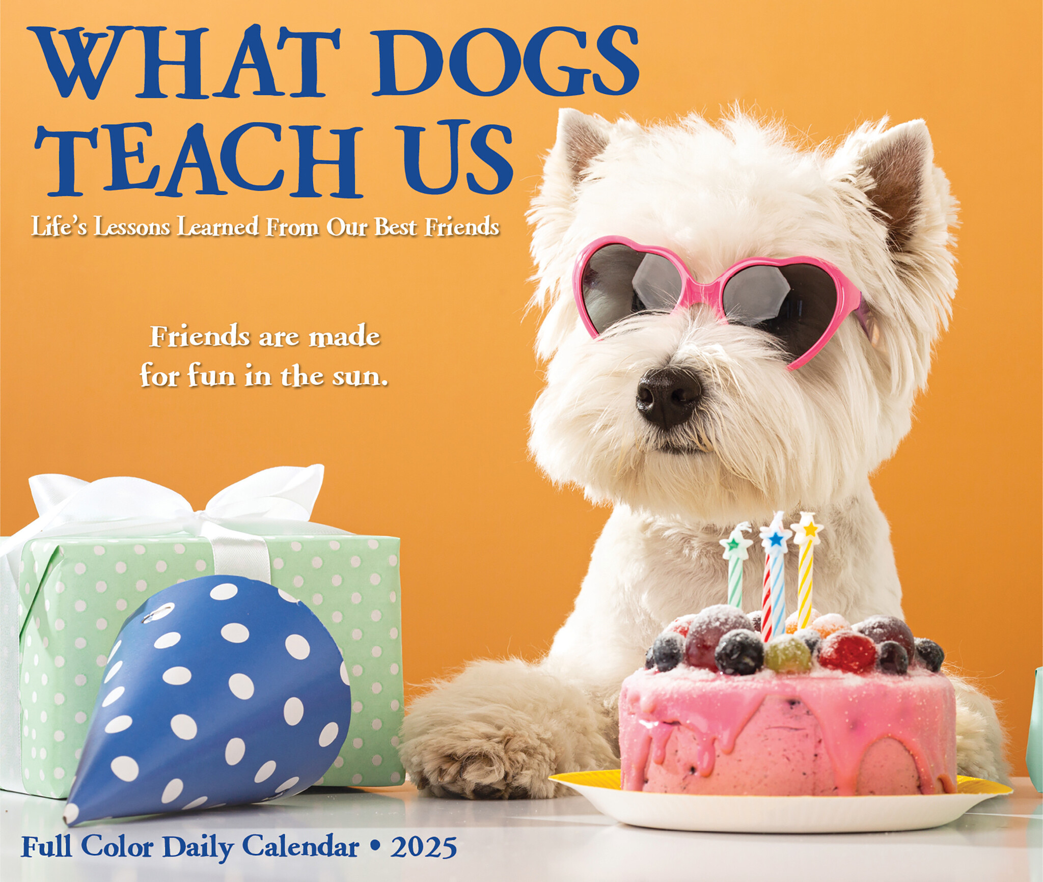 What Dogs Teach Us Scheurkalender 2025 Boxed