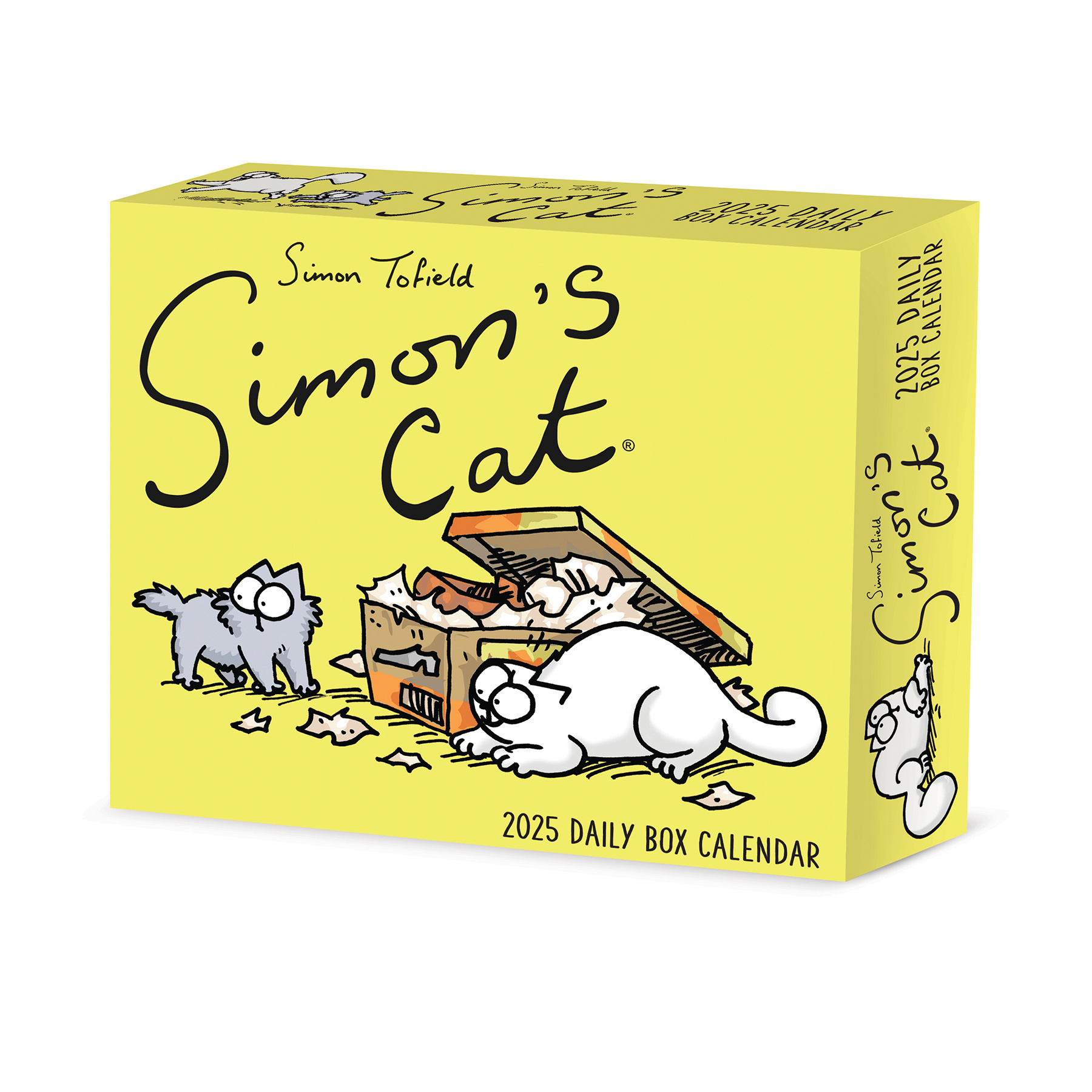 Acheter Simon's Cat Calendar 2025 Boxed Order easily online