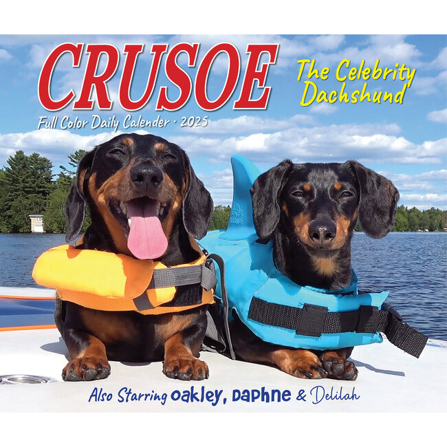 Crusoe the Dachshund Coloring Calendar 2025 Boxed