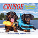 Willow Creek Crusoe the Dachshund Coloring Calendar 2025 Boxed