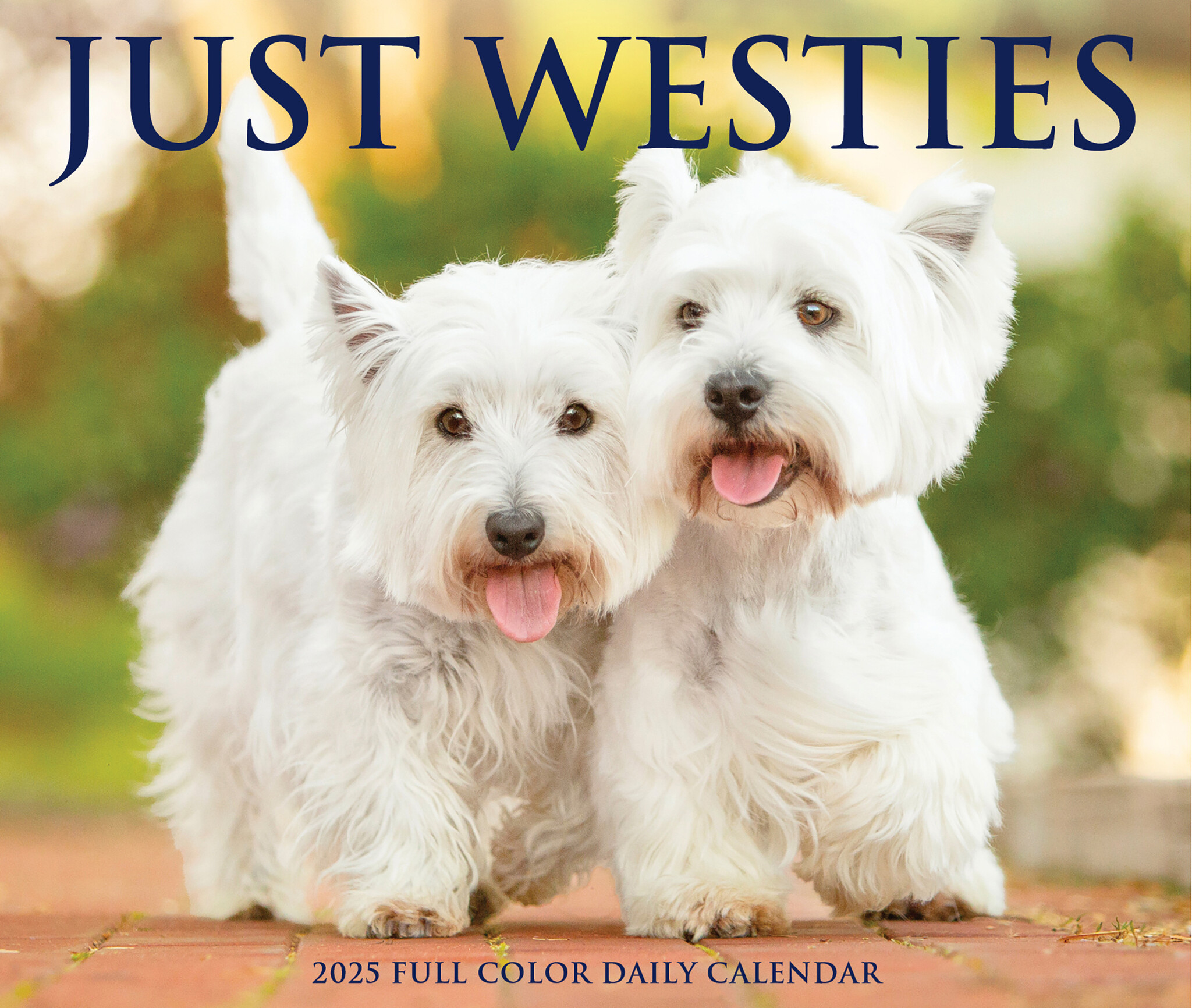 West Highland White Terrier Scheurkalender 2025 Boxed