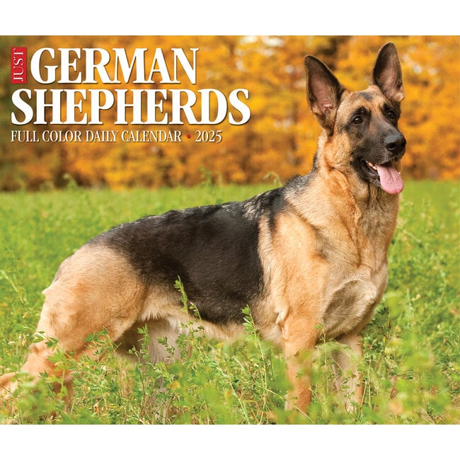 Deutscher Schäferhund Tränenkalender 2025 Boxed