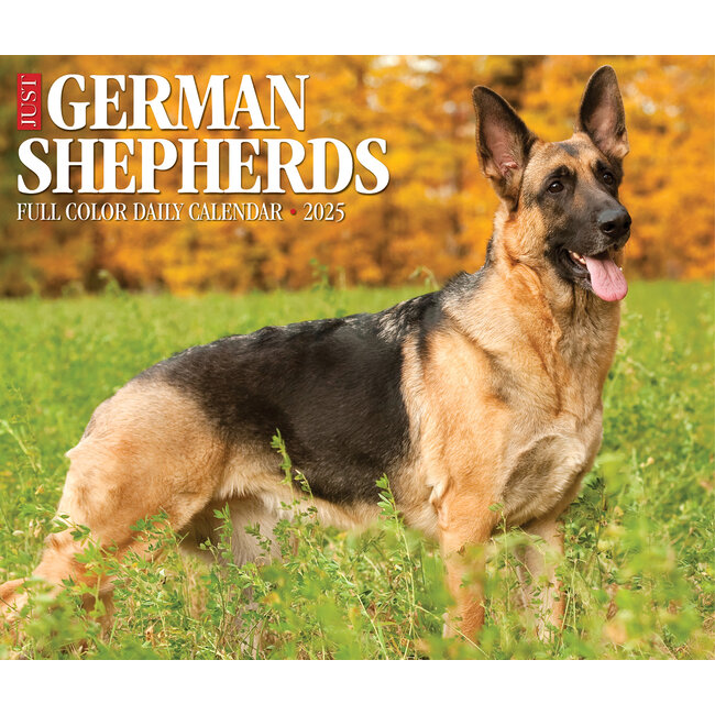 German Shepherd Tear Calendar 2025 Boxed