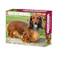 Dachshund tear-off calendar 2025 Boxed