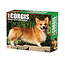 Calendario a strappo Welsh Corgi 2025 in scatola