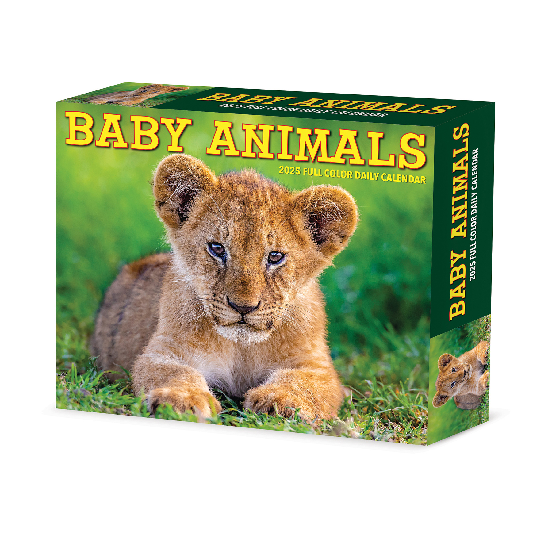Baby Animals Calendar 2025 