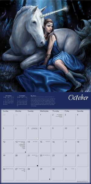 Anne Stokes Kalender 2025 Einhorn Kaufen  einfach online bestellen 