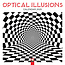 Optical Illusions Calendar 2025